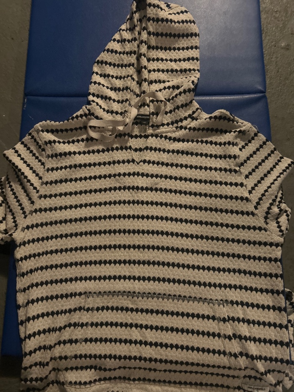 Karl Lagerfield Men’s Designer Hoodie
